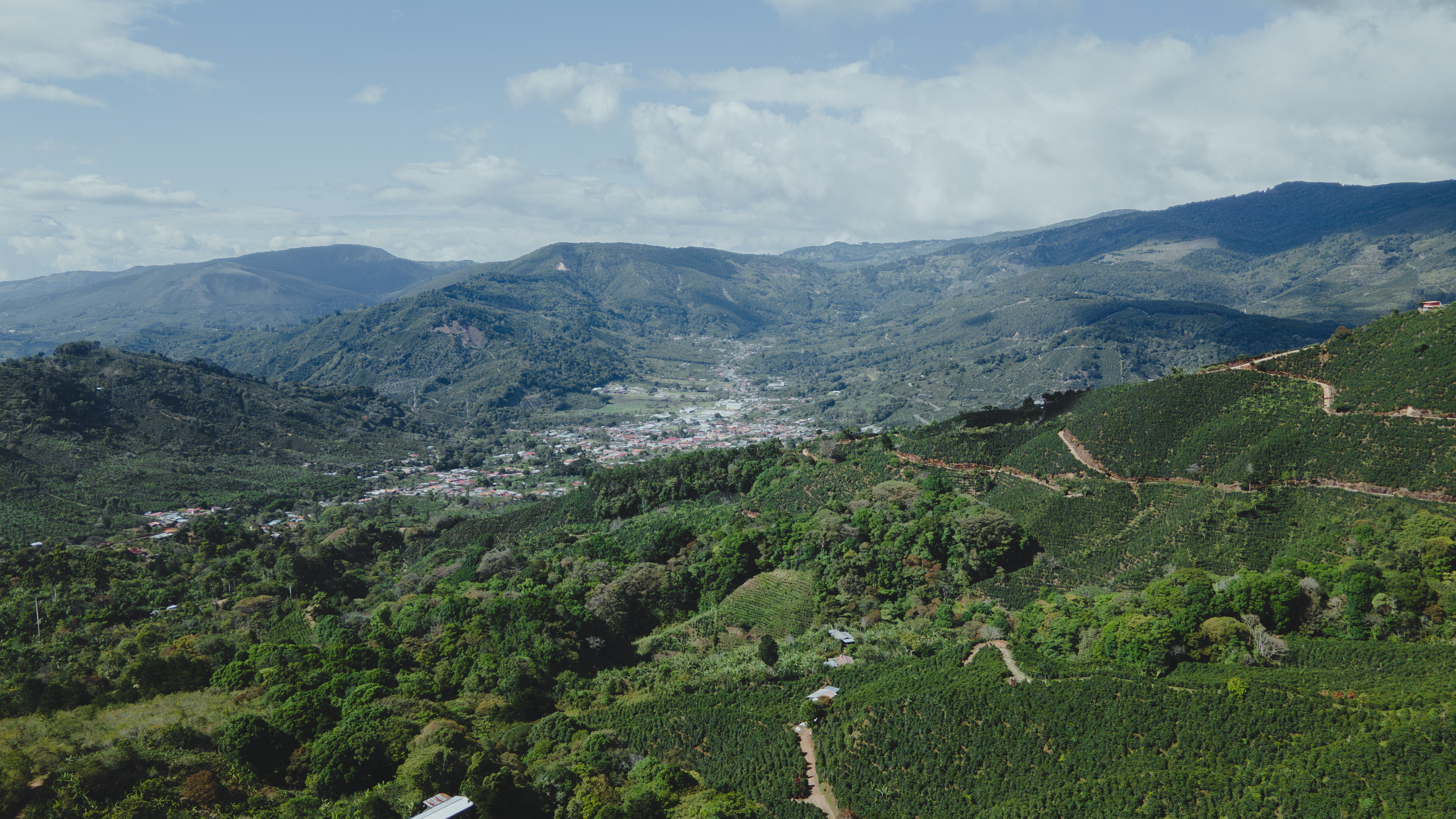 Costa Rica SHB Tarrazu Dota (GP)