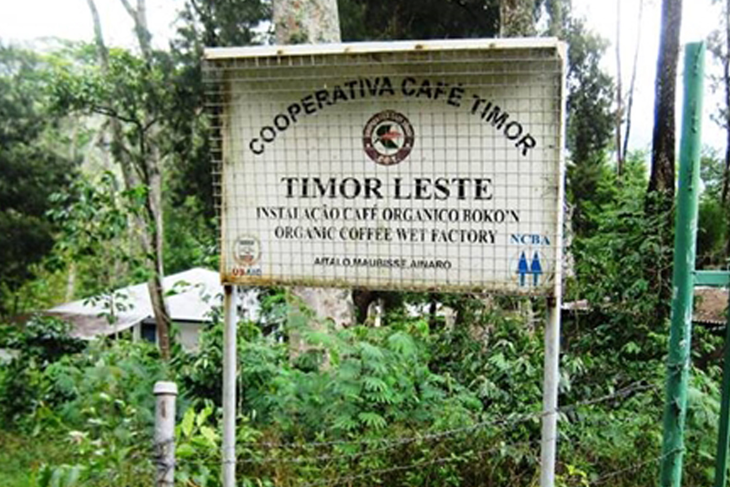 Organic Timor Royal Select SWP