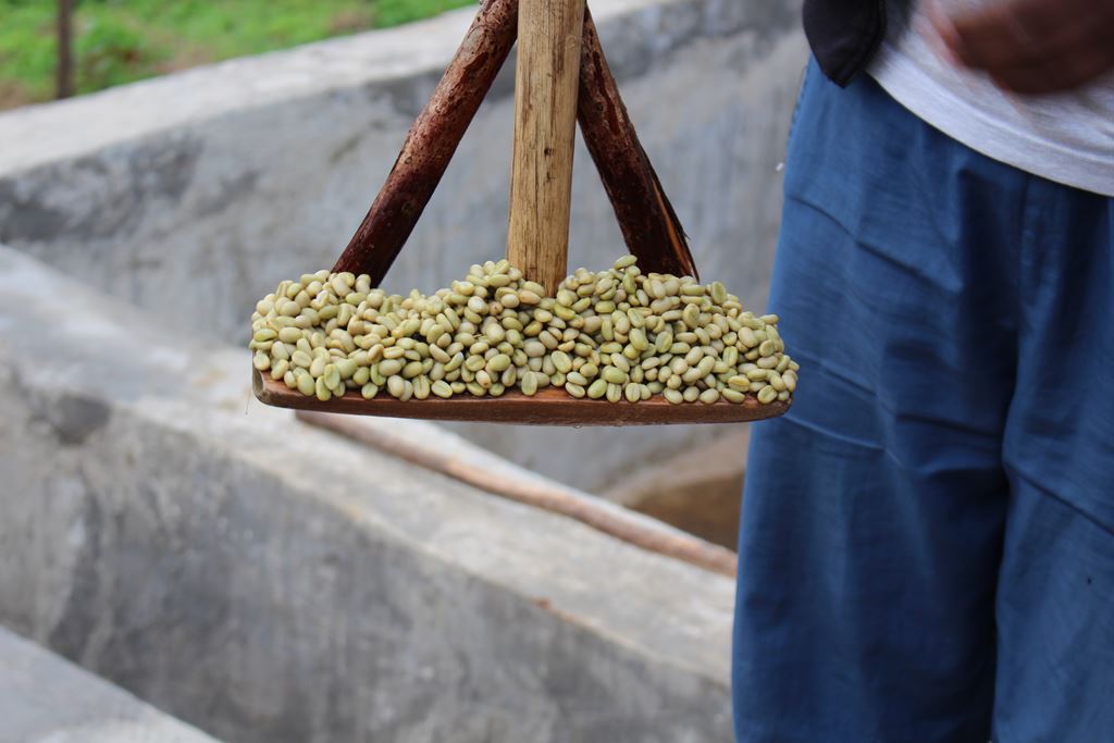 Ethiopia Natural GERA Estate G1 ( E)