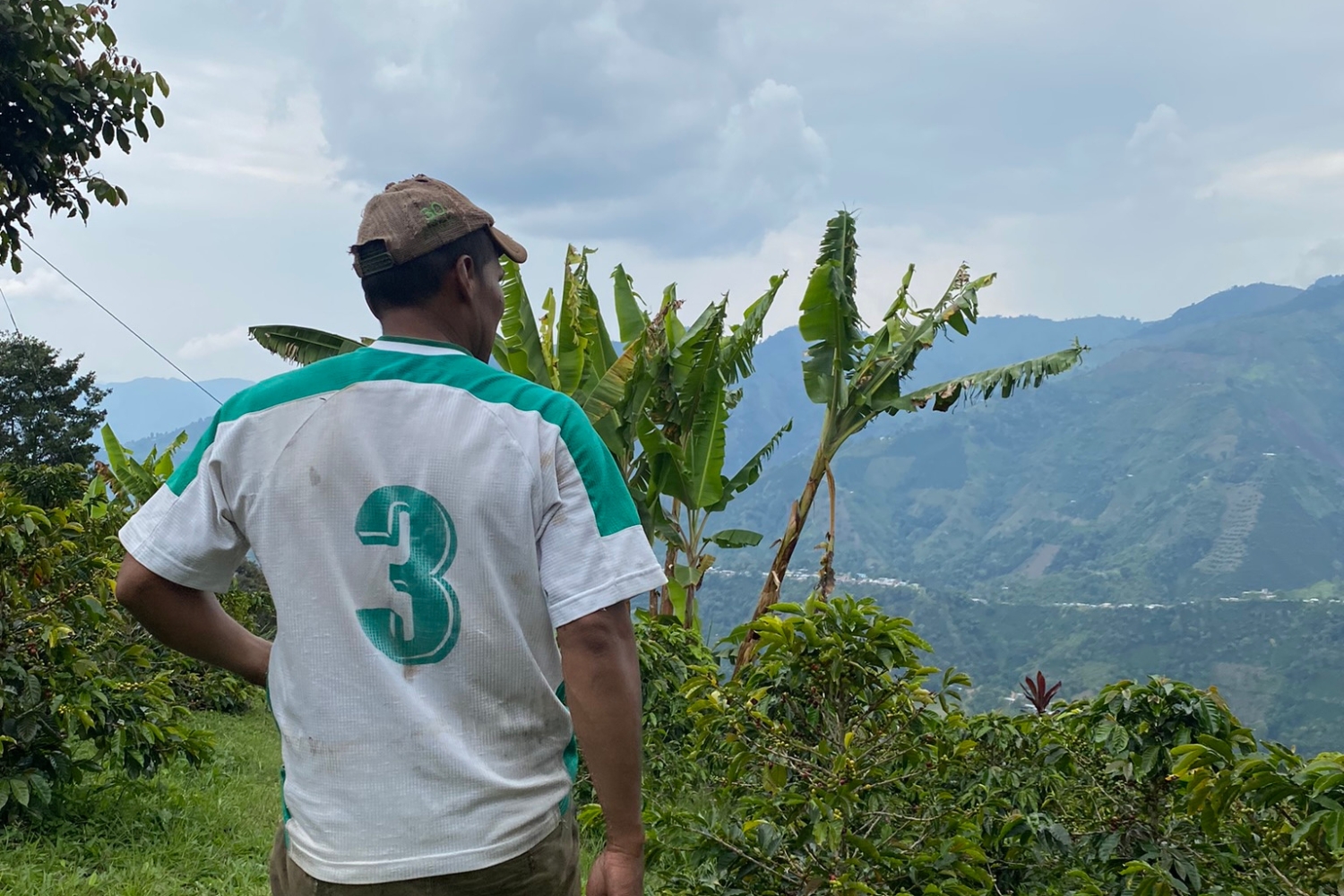 Colombia Excelso Cauca-Arturo Volveraz(GP)