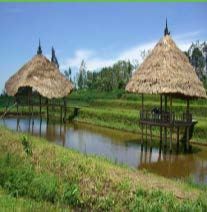 Bali Blue Moon Wet Hulled