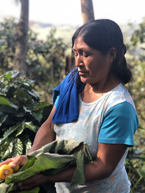 Organic Peru Royal Select SWP FAIR TRADE