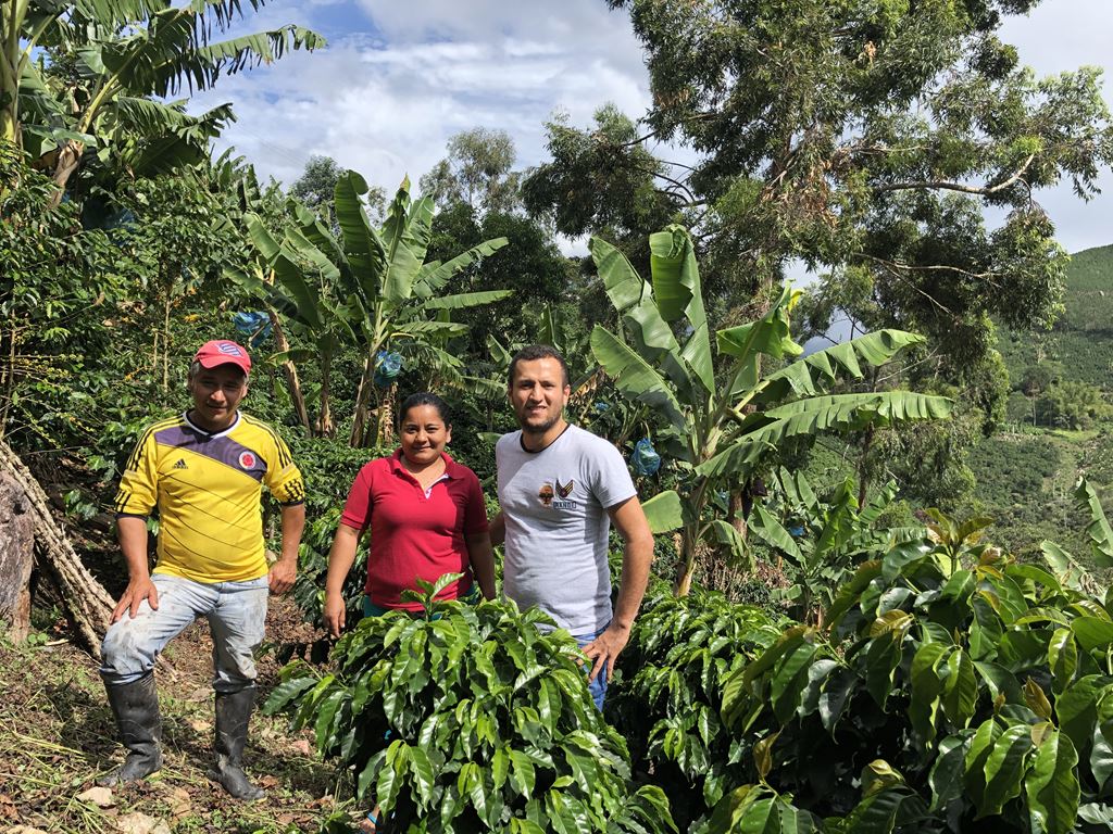 Colombia Huila Angelina Gomez- Excelso EP (GP)