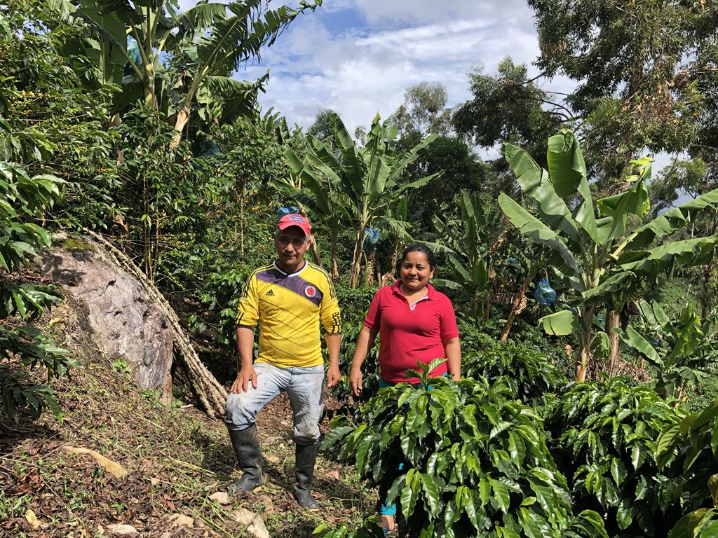 Colombia Huila Angelina Gomez- Excelso EP (GP)
