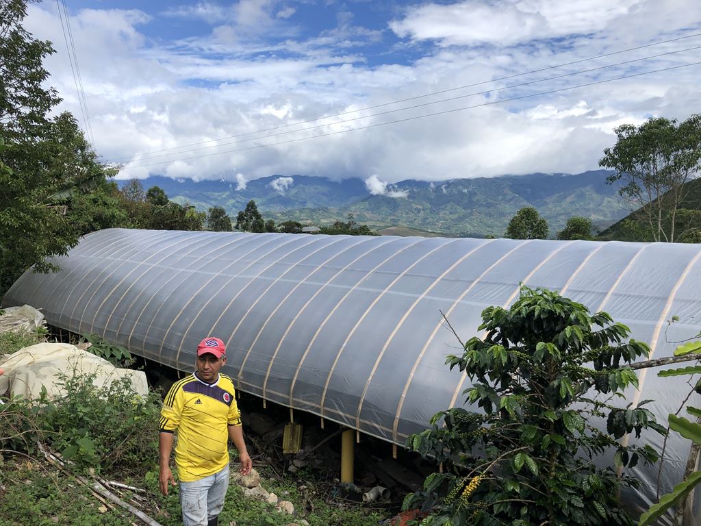 Colombia Huila Angelina Gomez- Excelso EP (GP)
