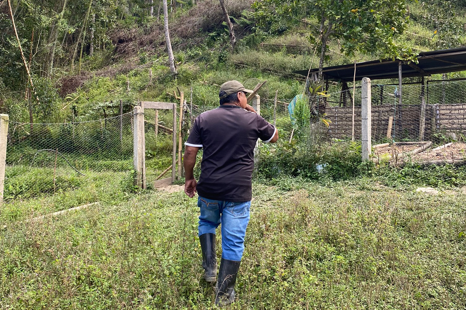 Colombia Excelso Cauca-Alfonso Pillimue (GP)