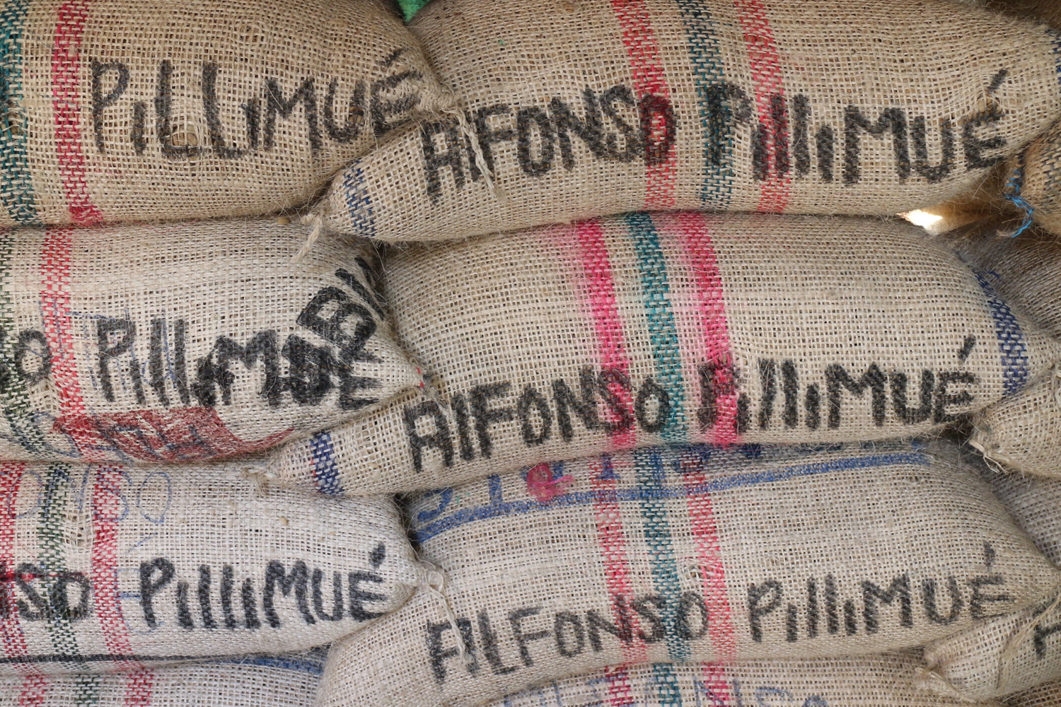 Colombia Excelso Cauca-Alfonso Pillimue (GP)