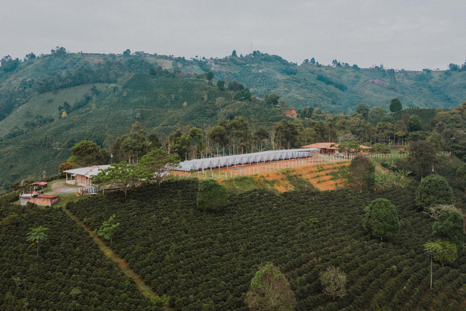 Colombia Santa Barbara Estate Natural (GP)