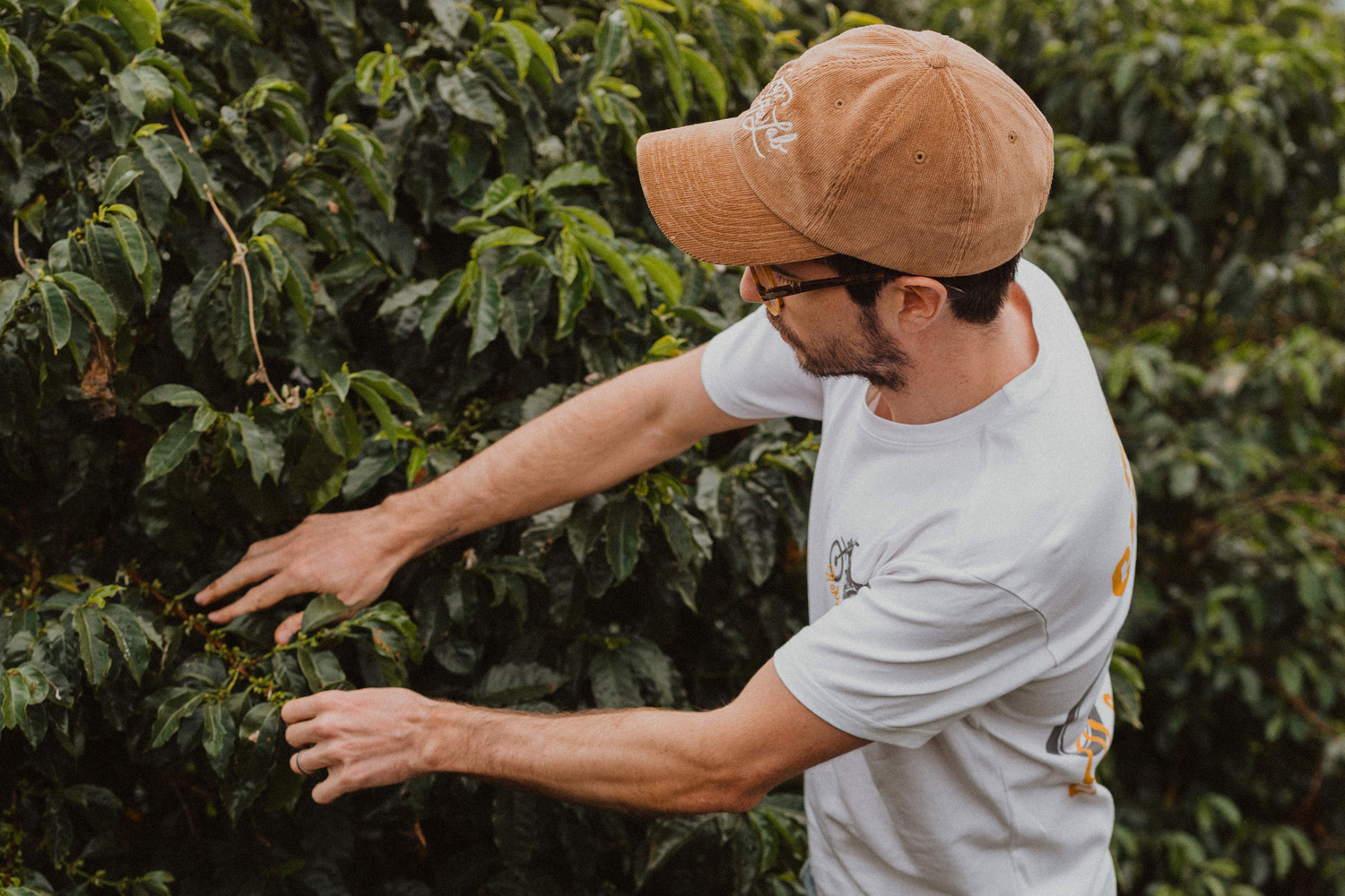 Colombia Santa Barbara Estate Natural (GP)