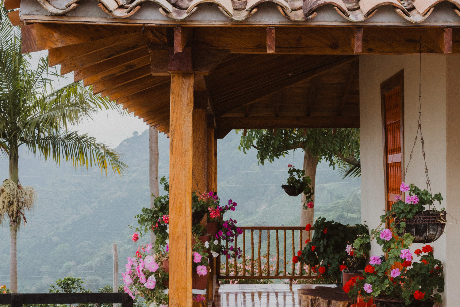Colombia Santa Barbara Estate Natural (GP)