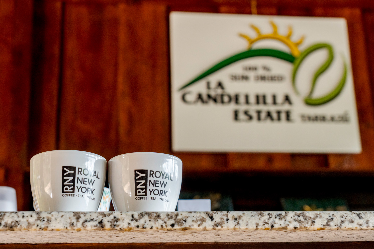 Costa Rica Tarrazu La Candelilla Natural Geisha Finca Palmiliera Micro Lot (GP)