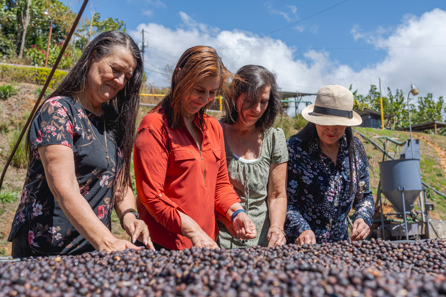 Costa Rica Tarrazu La Candelilla Natural Geisha Finca Palmiliera Micro Lot (GP)