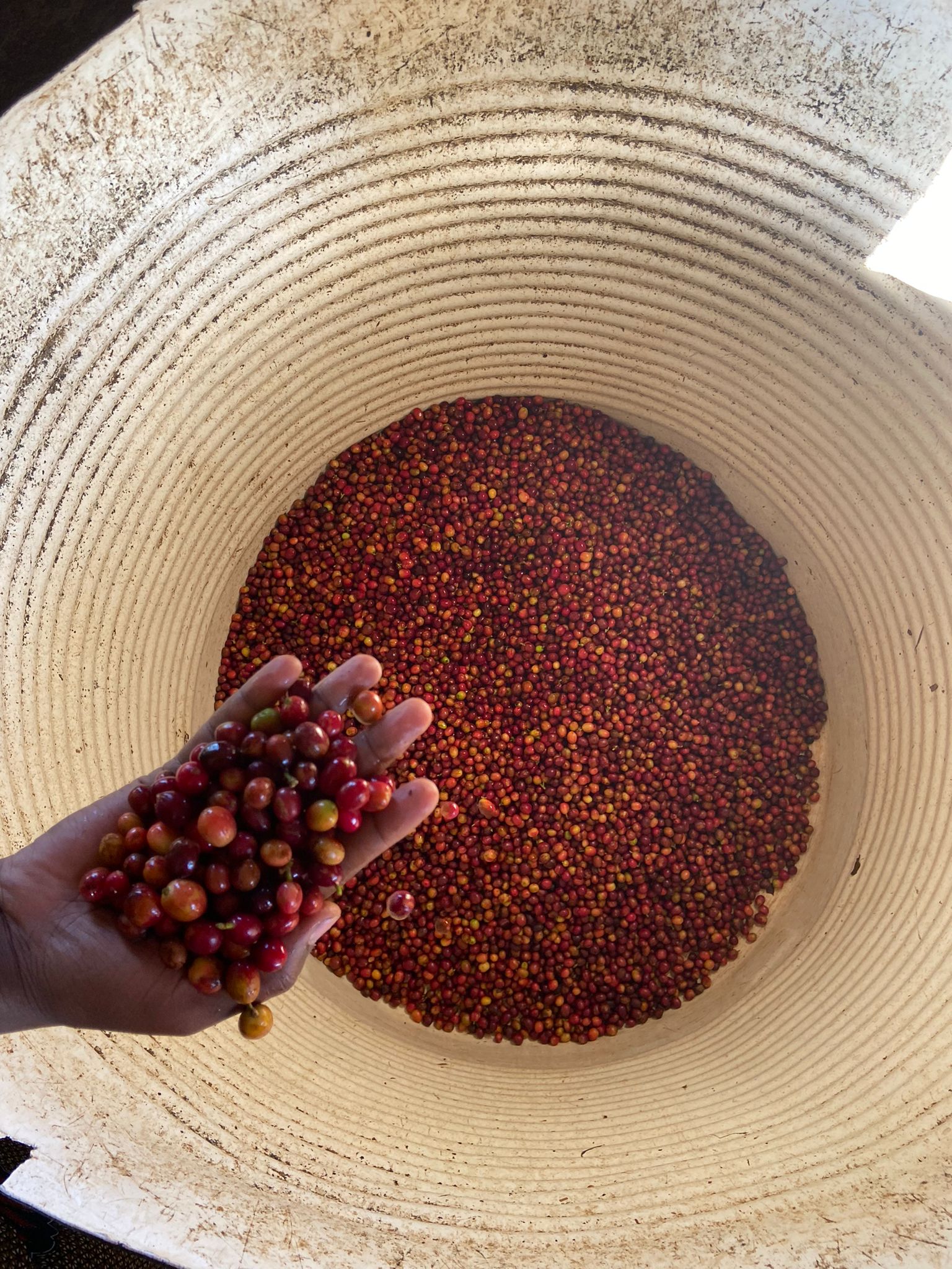 Burundi Twaranyuzwe Washing Station (E)