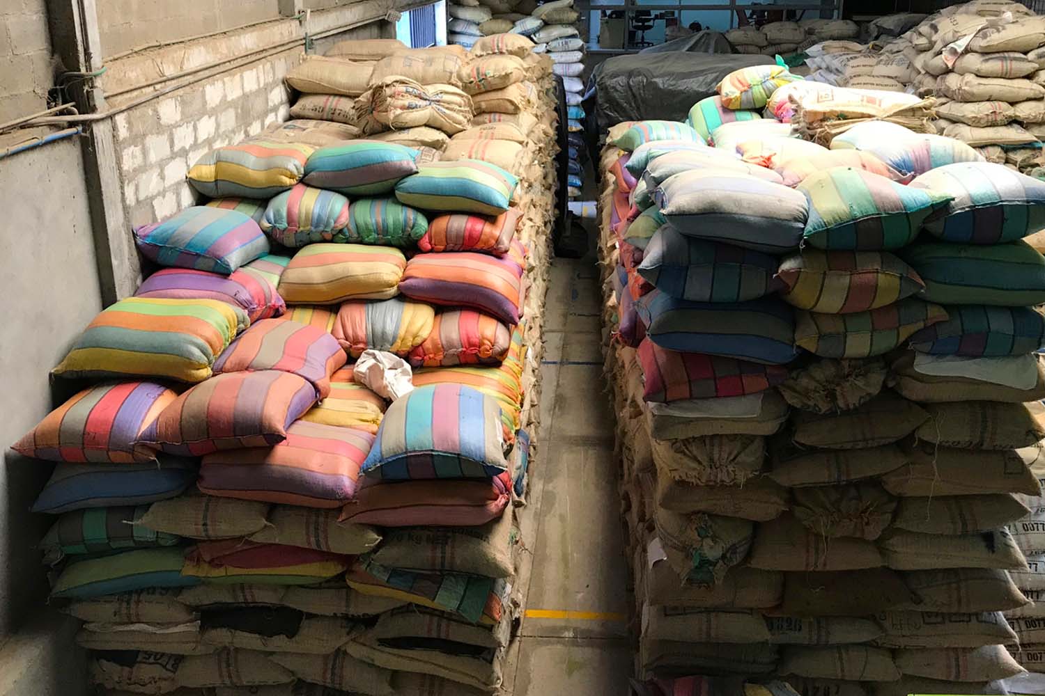 Organic Colombia Tolima Los Brasiles PB (GP)