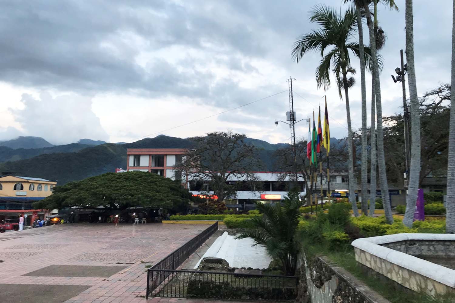Organic Colombia Tolima Los Brasiles PB (GP)