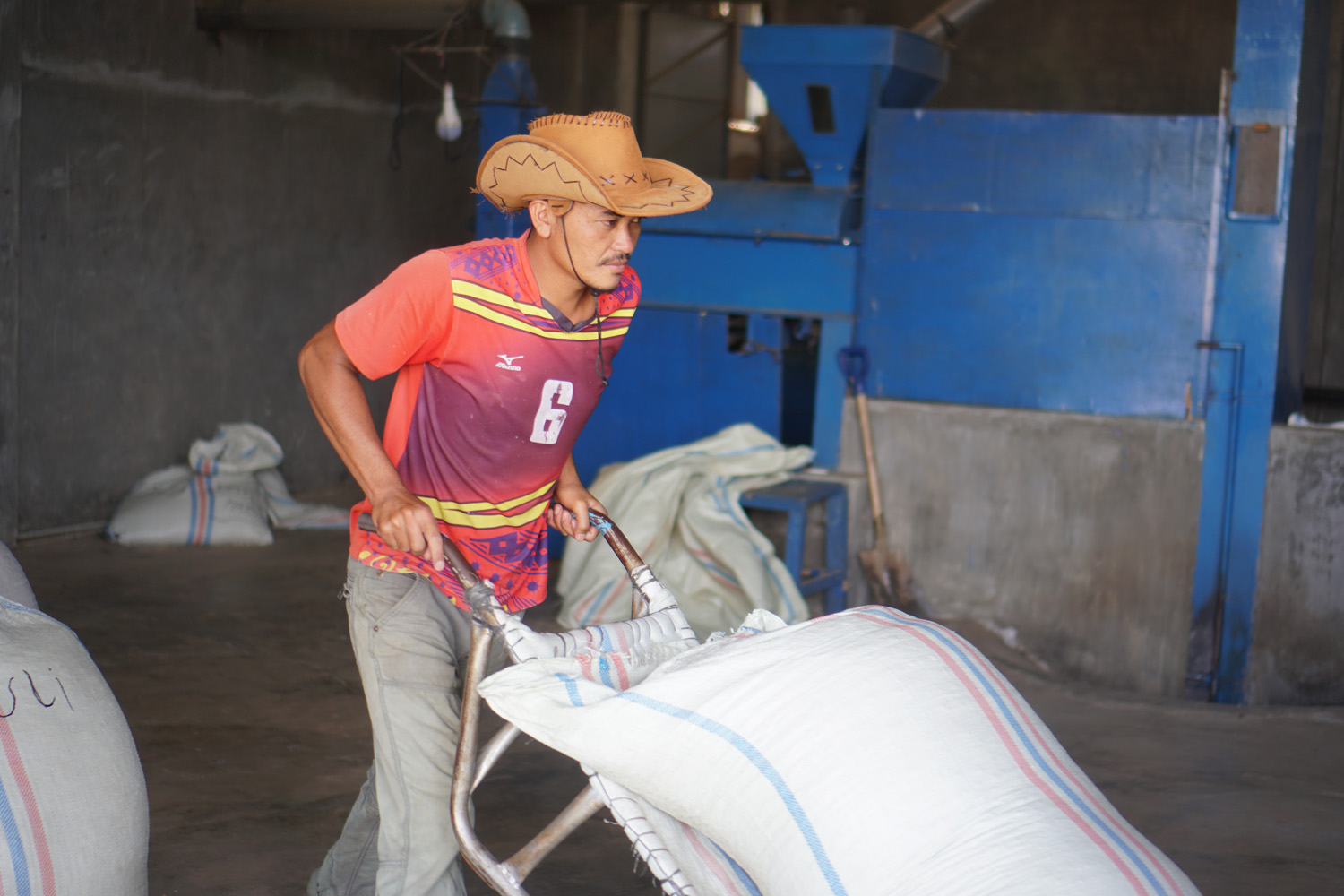 Organic Sumatra Bener Meriah Burni Telong GR1