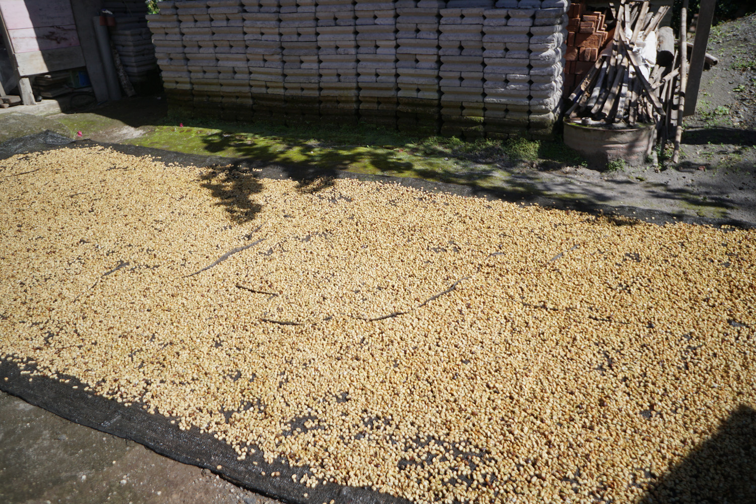 Organic Sumatra Bener Meriah Burni Telong GR1