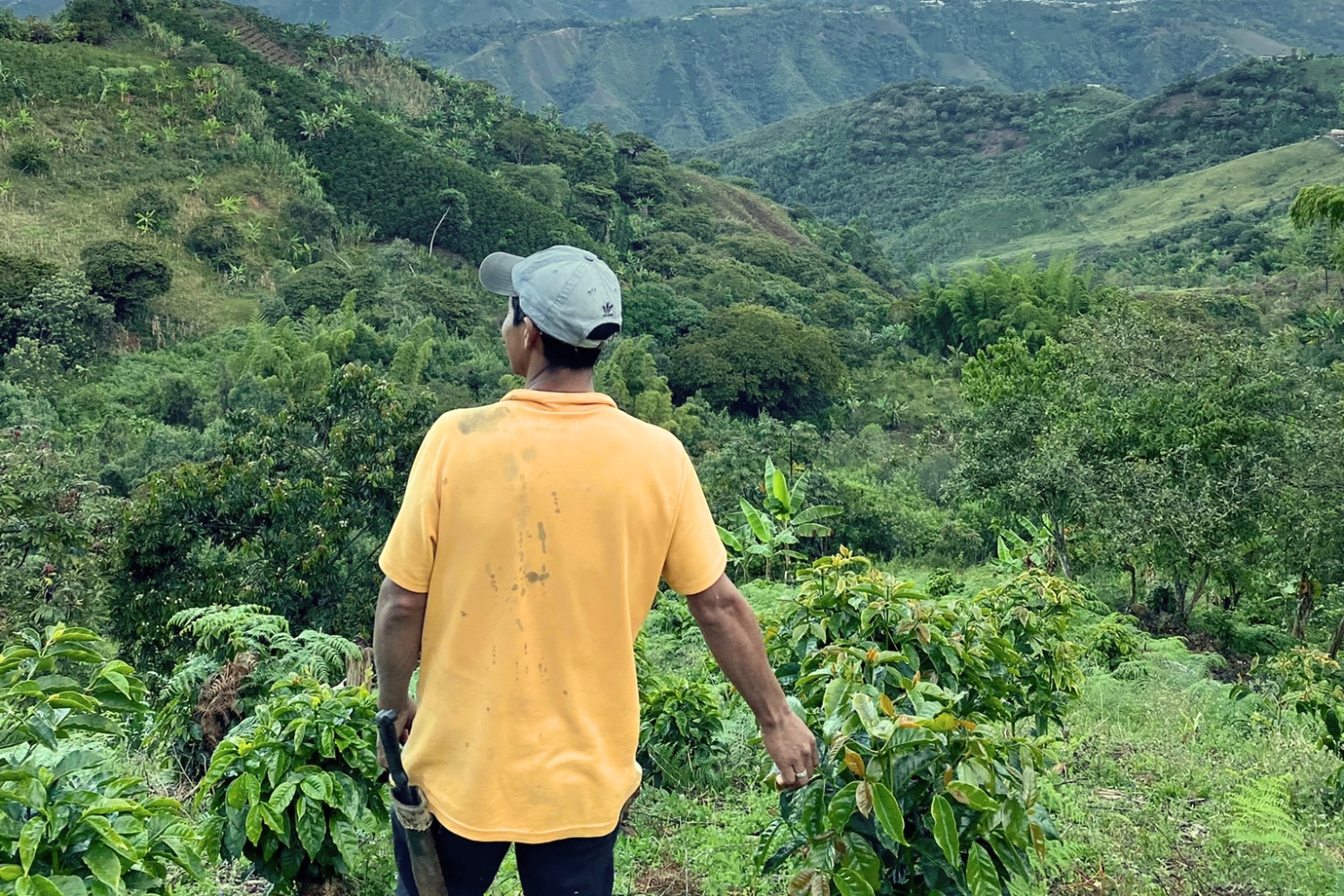 Colombia Cauca-Inza-Robinson Pillimue (GP)