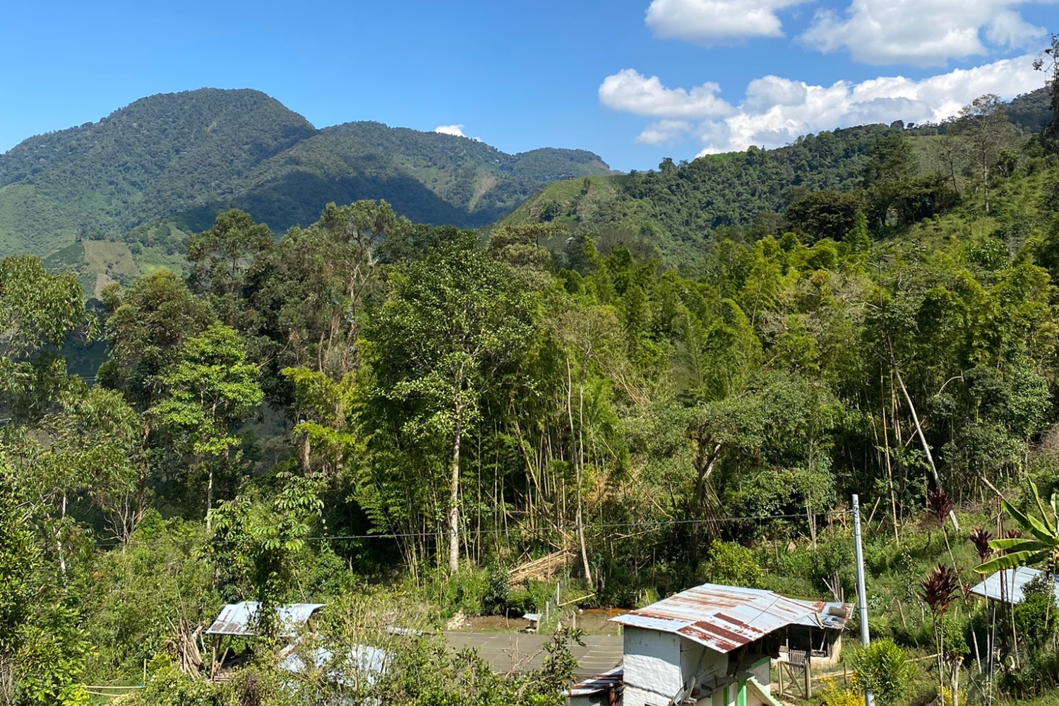 Colombia Cauca-Inza-Nilson Pillimue (GP)