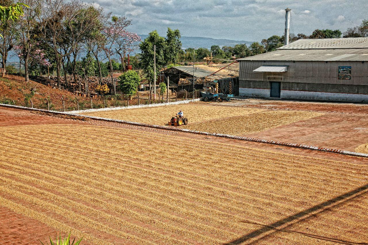 El Salvador SHG San Miguel