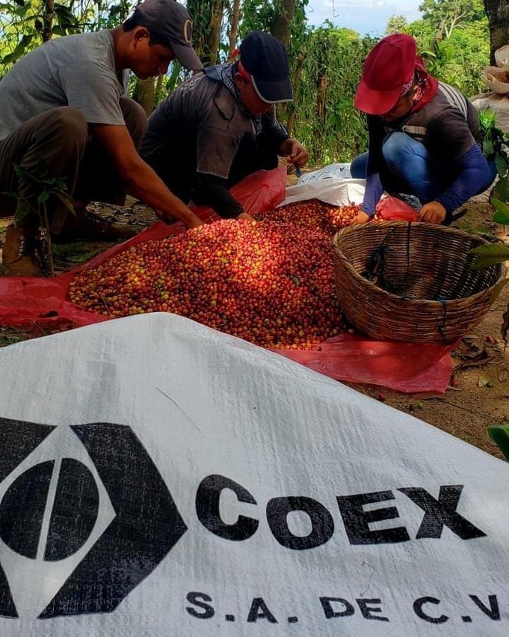 El Salvador SHG San Miguel Natural (E)