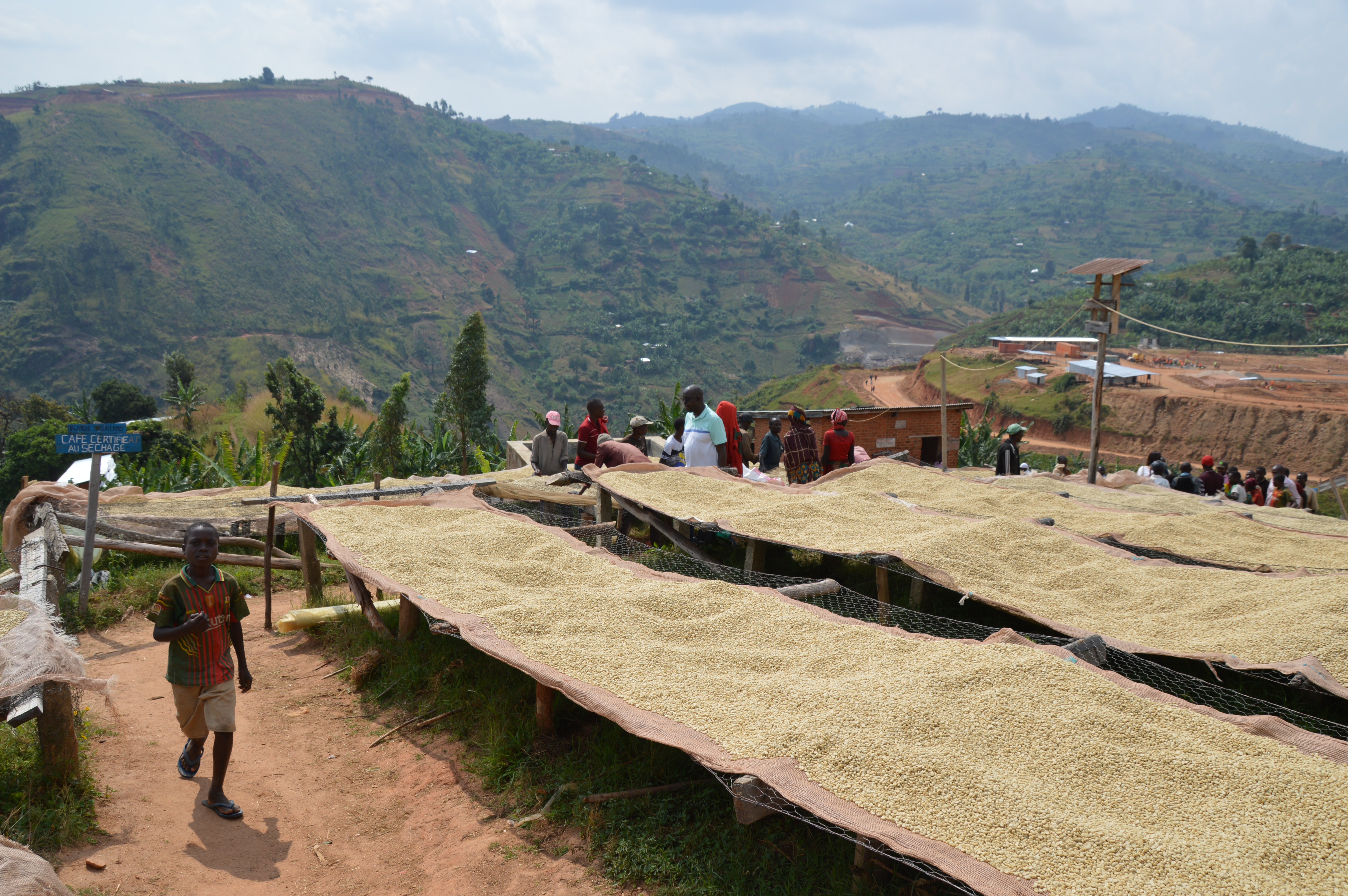 Burundi Kawa Zamurabawe Washing Station (E)