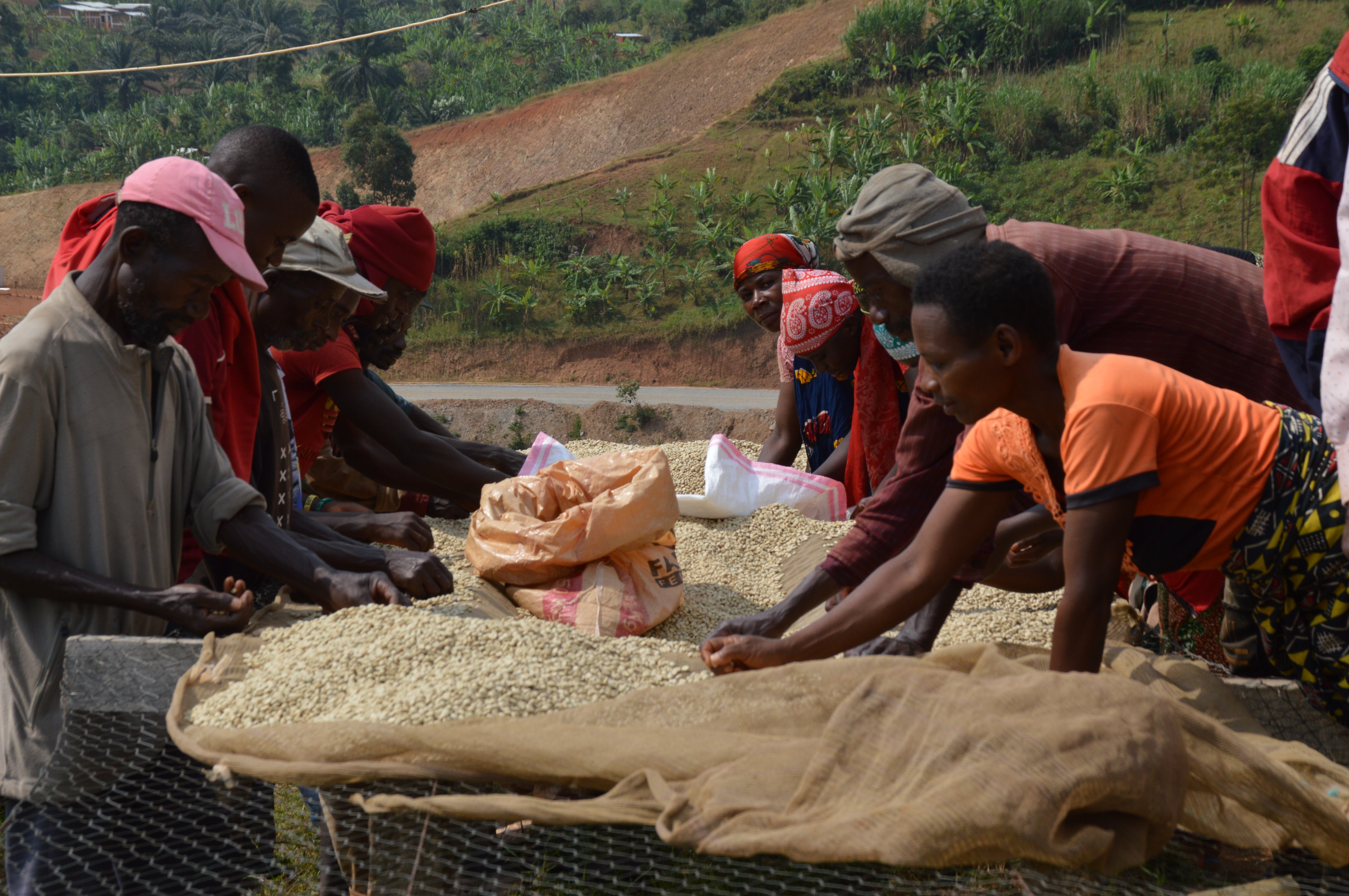 Burundi Kawa Zamurabawe Washing Station (E)
