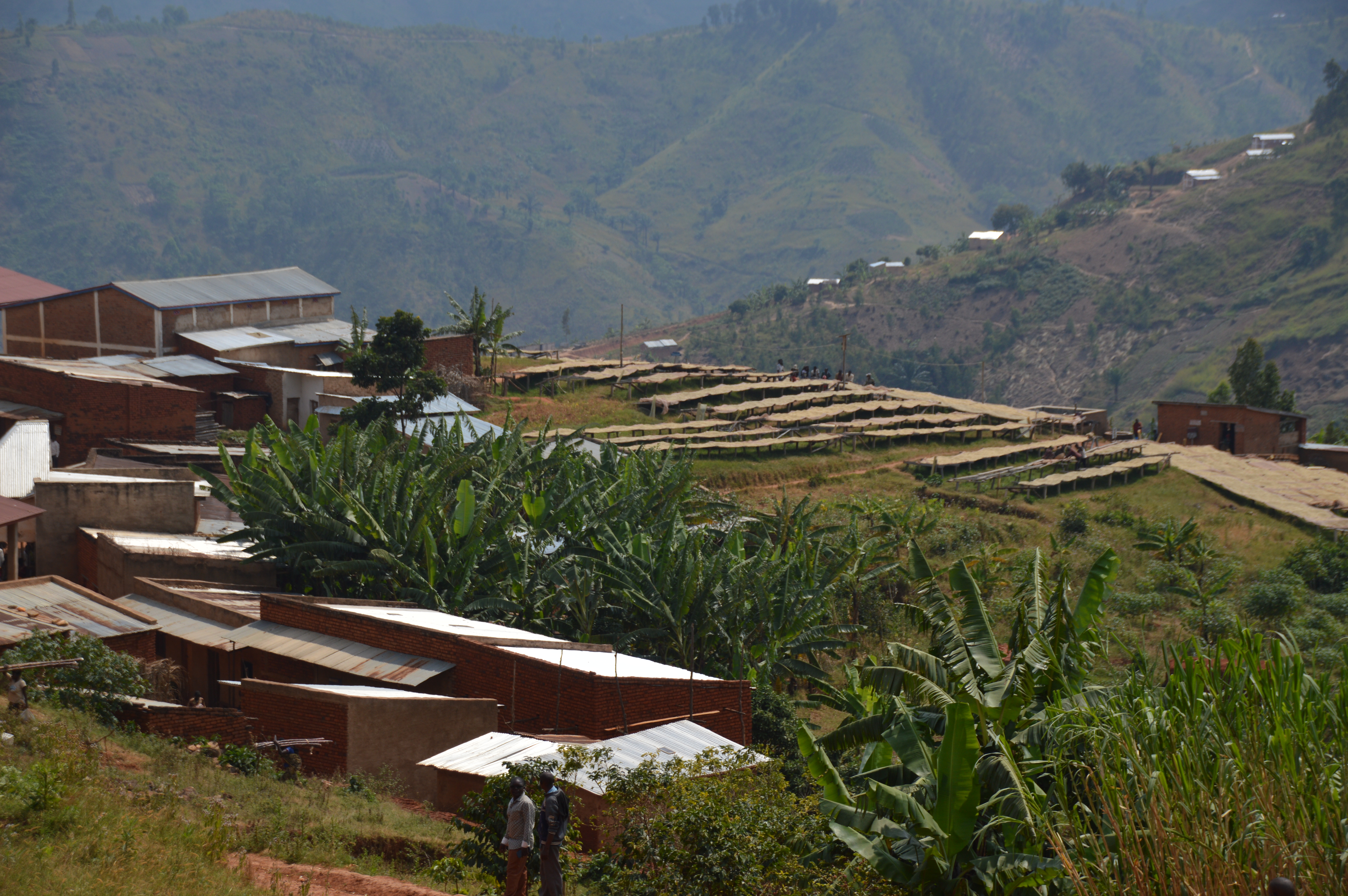 Burundi Kawa Zamurabawe Washing Station (E)