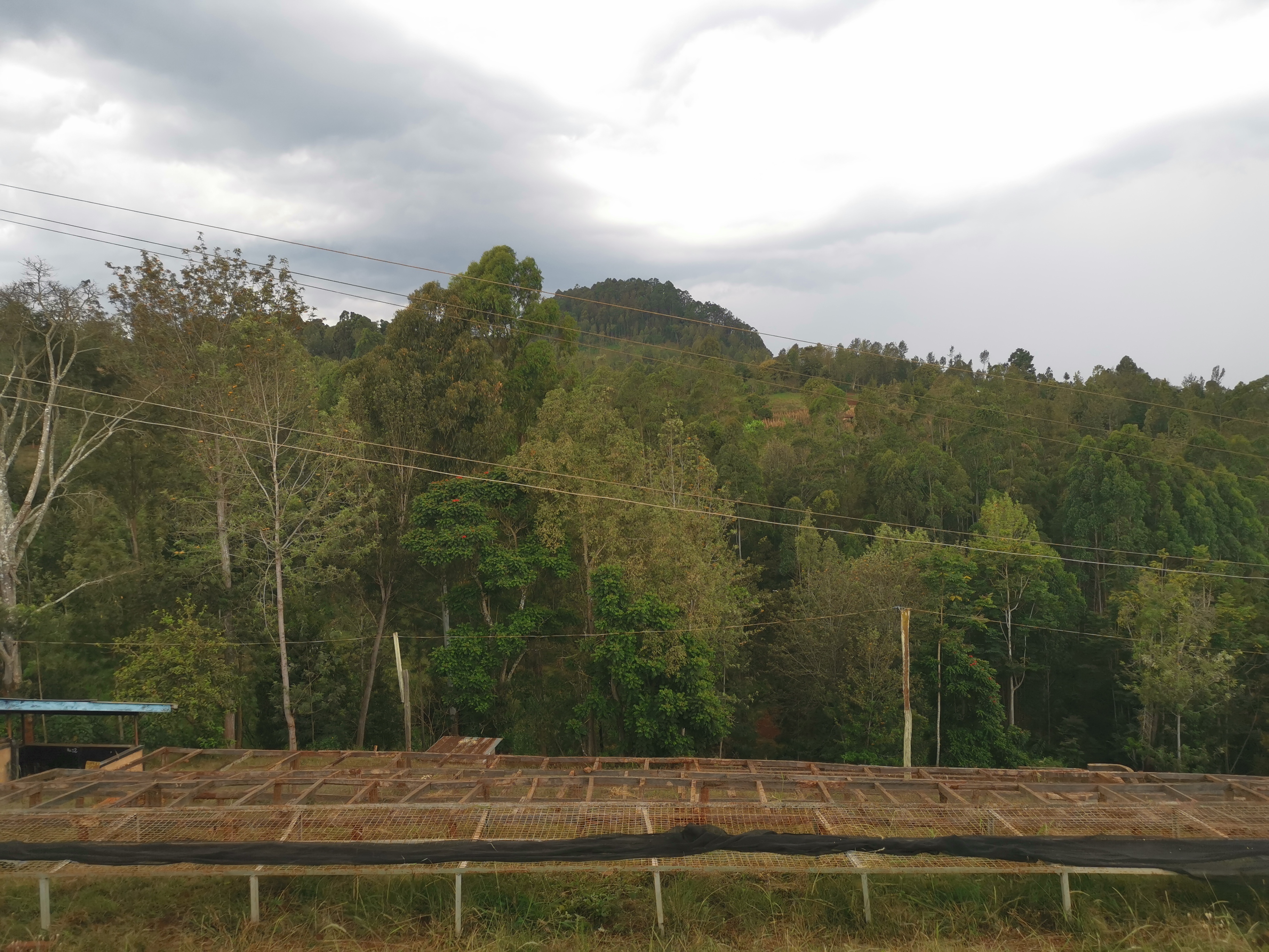 Kenya Nyeri AB Gura (GP)
