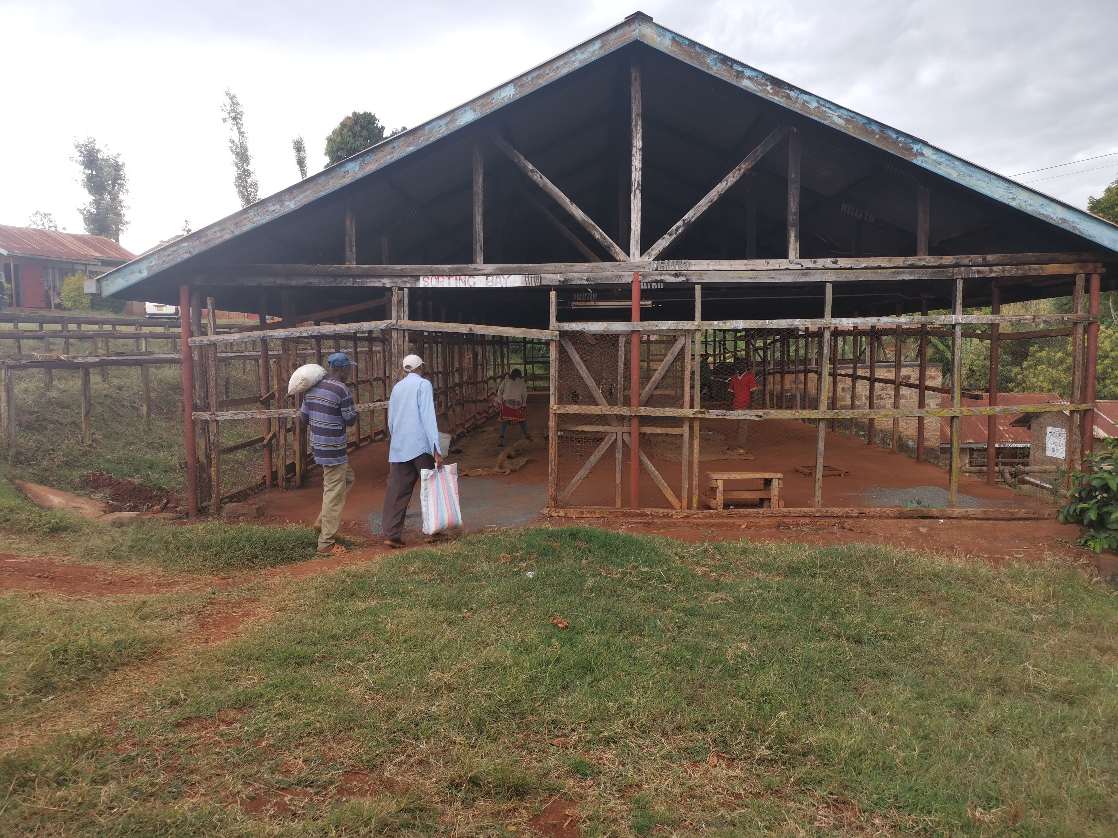 Kenya Nyeri AB Gura (GP)