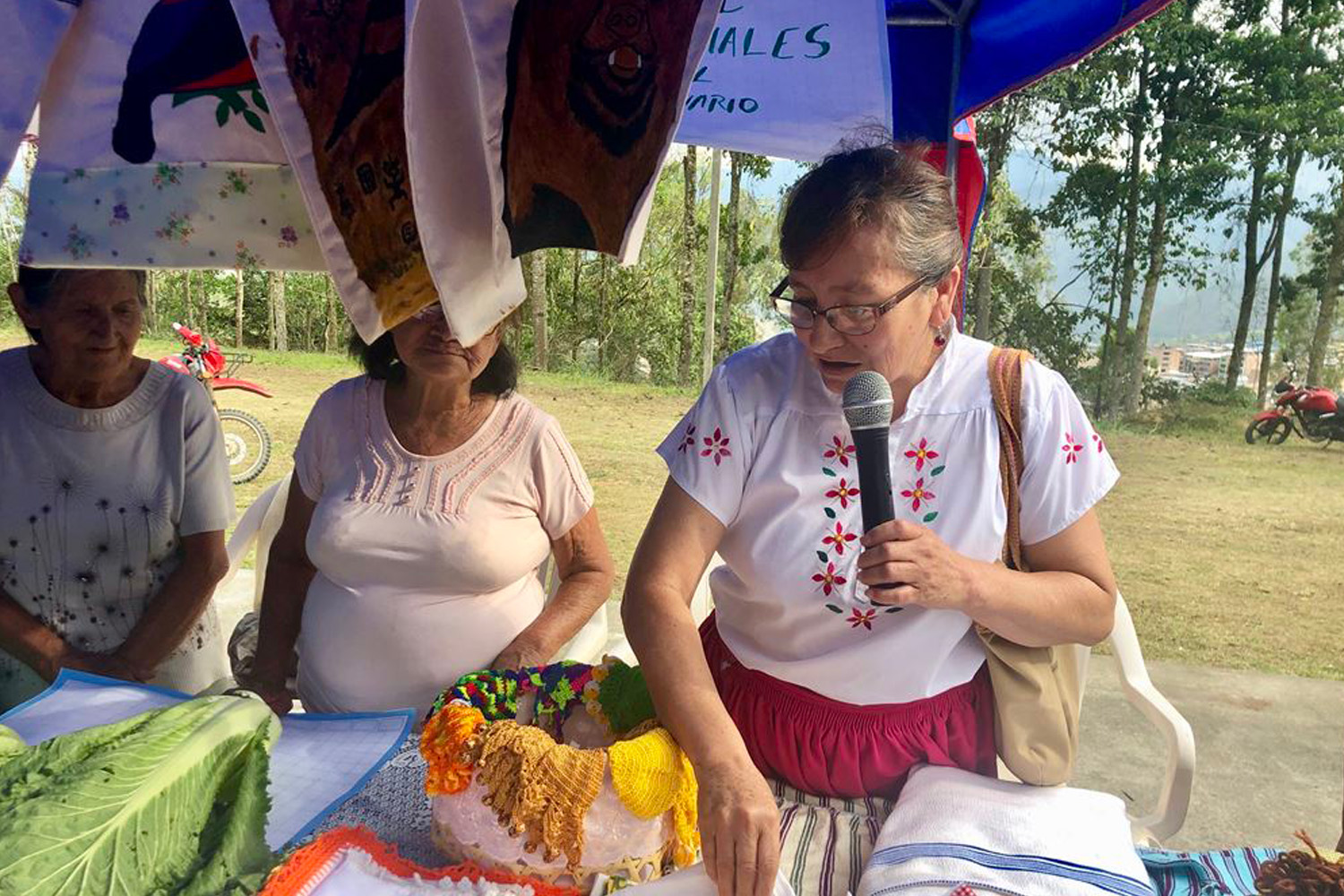 Organic Peru COOPAFSI 