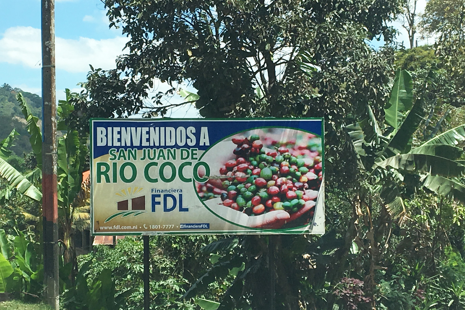 Organic Nicaraguan SHG UCA San Juan del Rio Coco-SMBC (E )