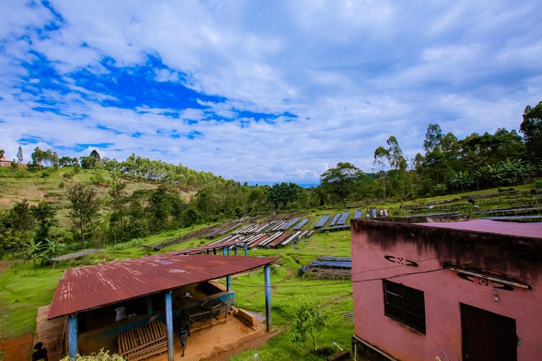 Rwanda PB Lake Kivu (GP)