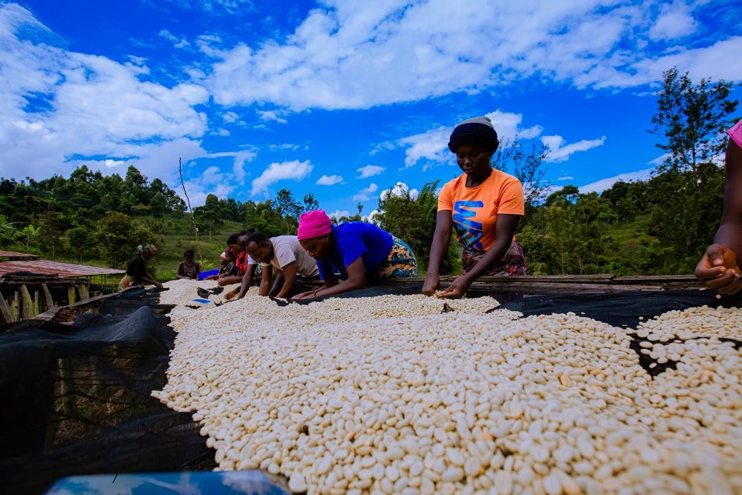 Rwanda PB Lake Kivu (GP)