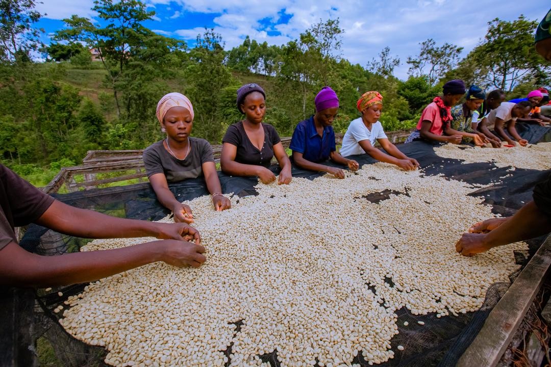 Rwanda PB Lake Kivu (GP)