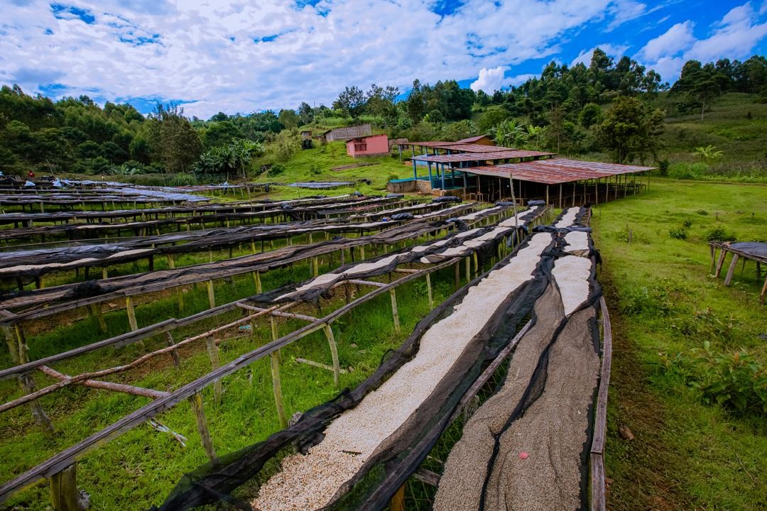 Rwanda PB Lake Kivu (GP)