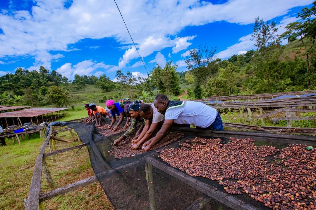Rwanda PB Lake Kivu (GP)
