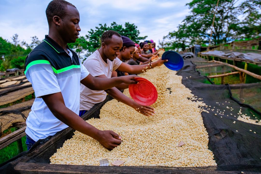 Rwanda PB Lake Kivu (GP)