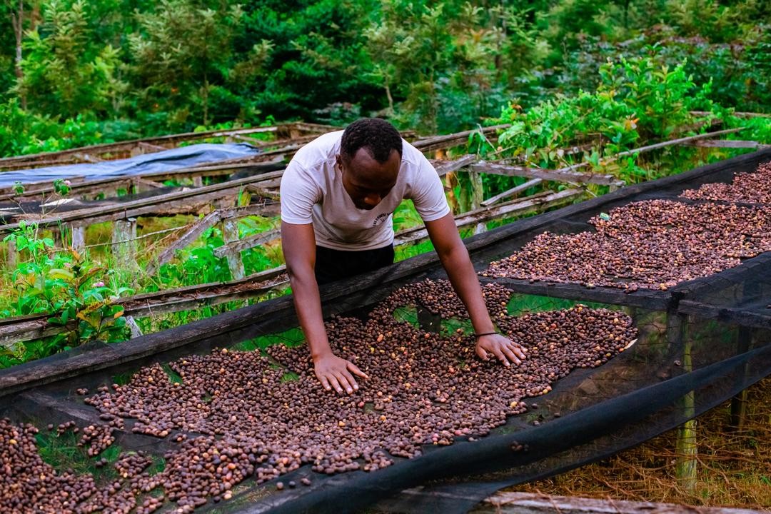 Rwanda PB Lake Kivu (GP)