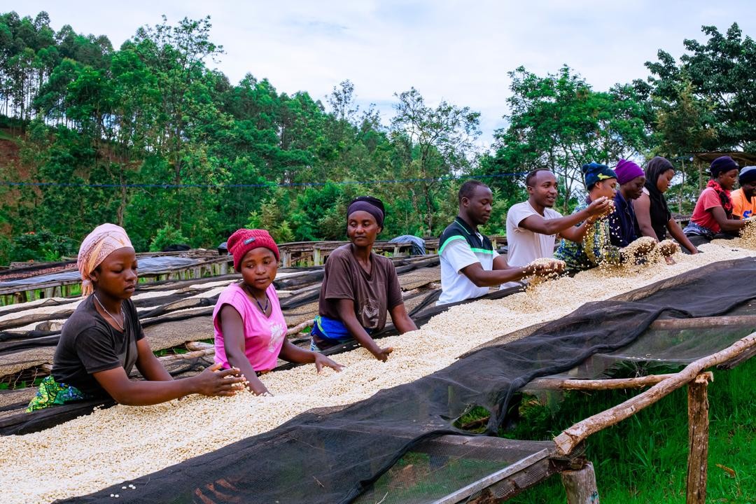 Rwanda PB Lake Kivu (GP)