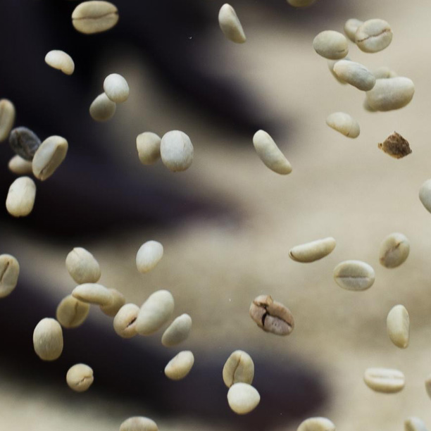 Rwanda PB Muhari Washing Station (GP)