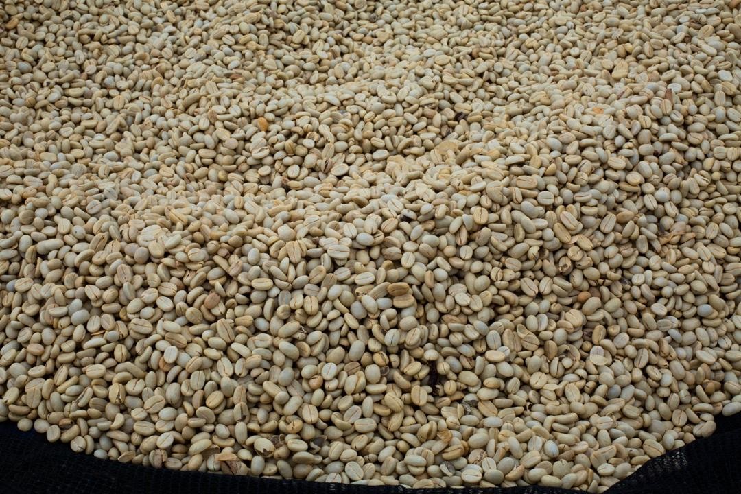 Rwanda PB Lake Kivu (GP)