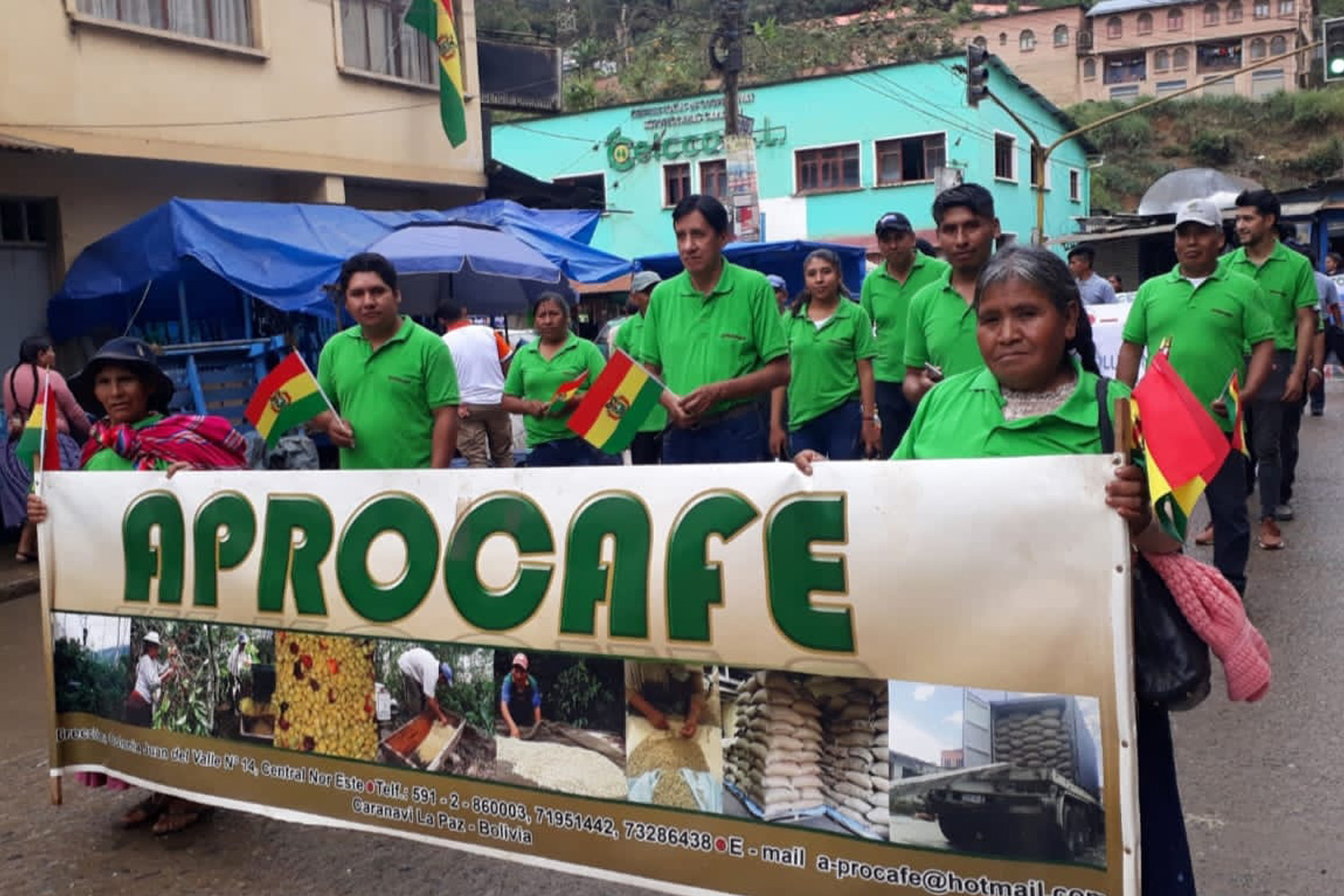 Bolivia SHG APROCAFE (E)