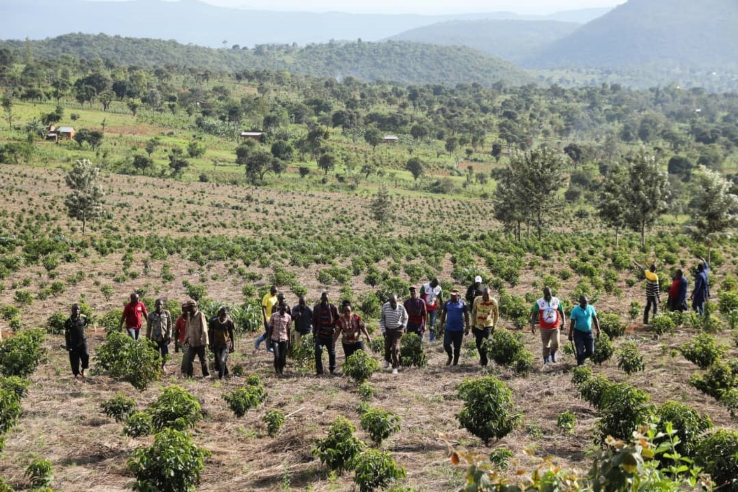 Burundi Ngozi Buhanda Fully Washed (GP)