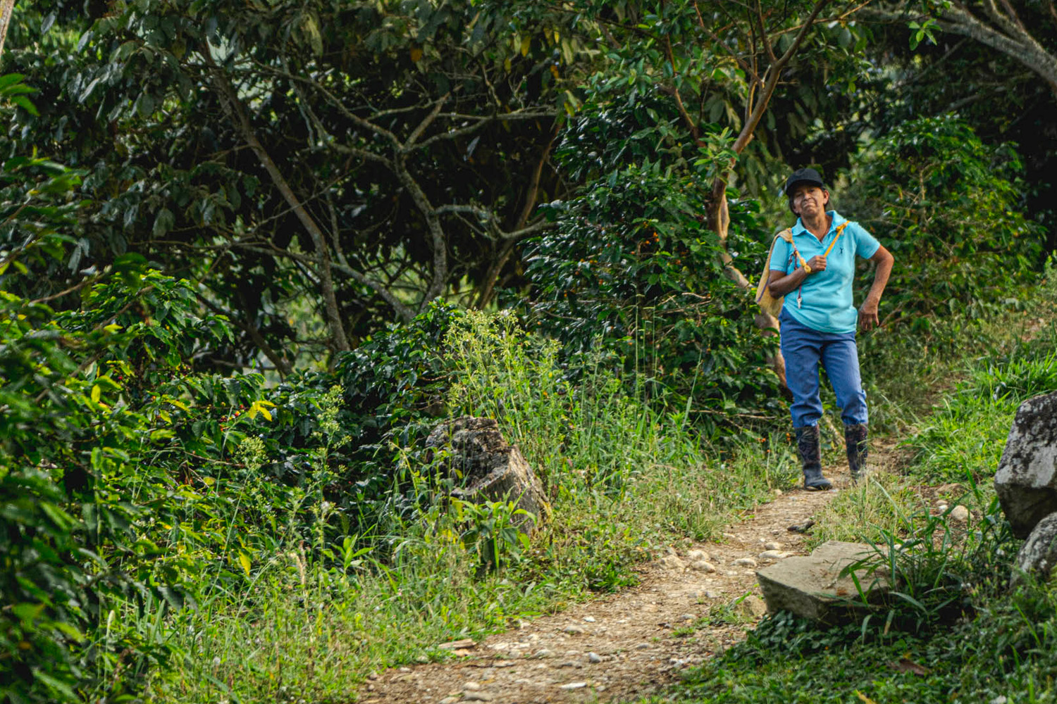 Colombia Excelso Inza-Maria Rosa Oidor (GP)