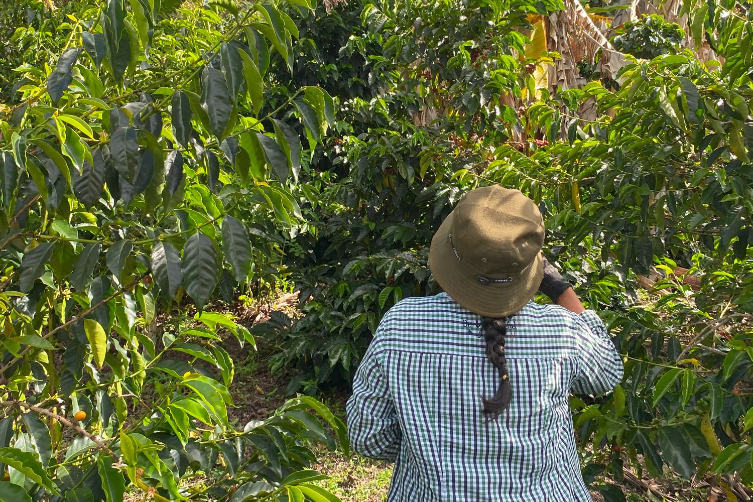 Colombia Cauca-Inza - Yeimi Medina (GP)