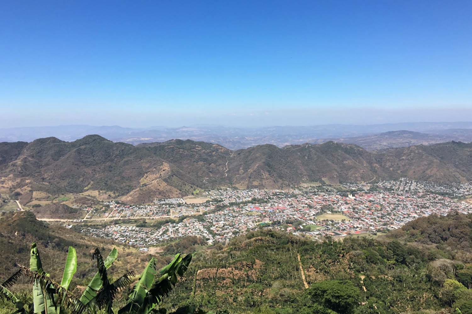 Organic Nicaraguan Alta De Jinotega (E)