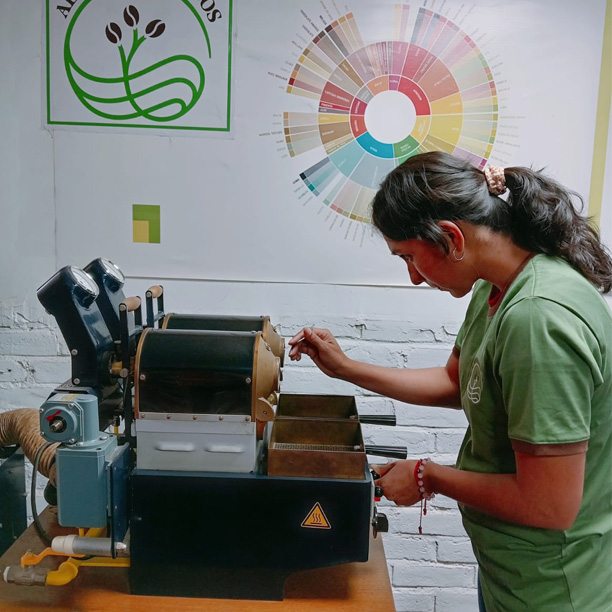 Organic Peru SHB San Igancio Rio Amoju - Alpes Amazonicos (GP)