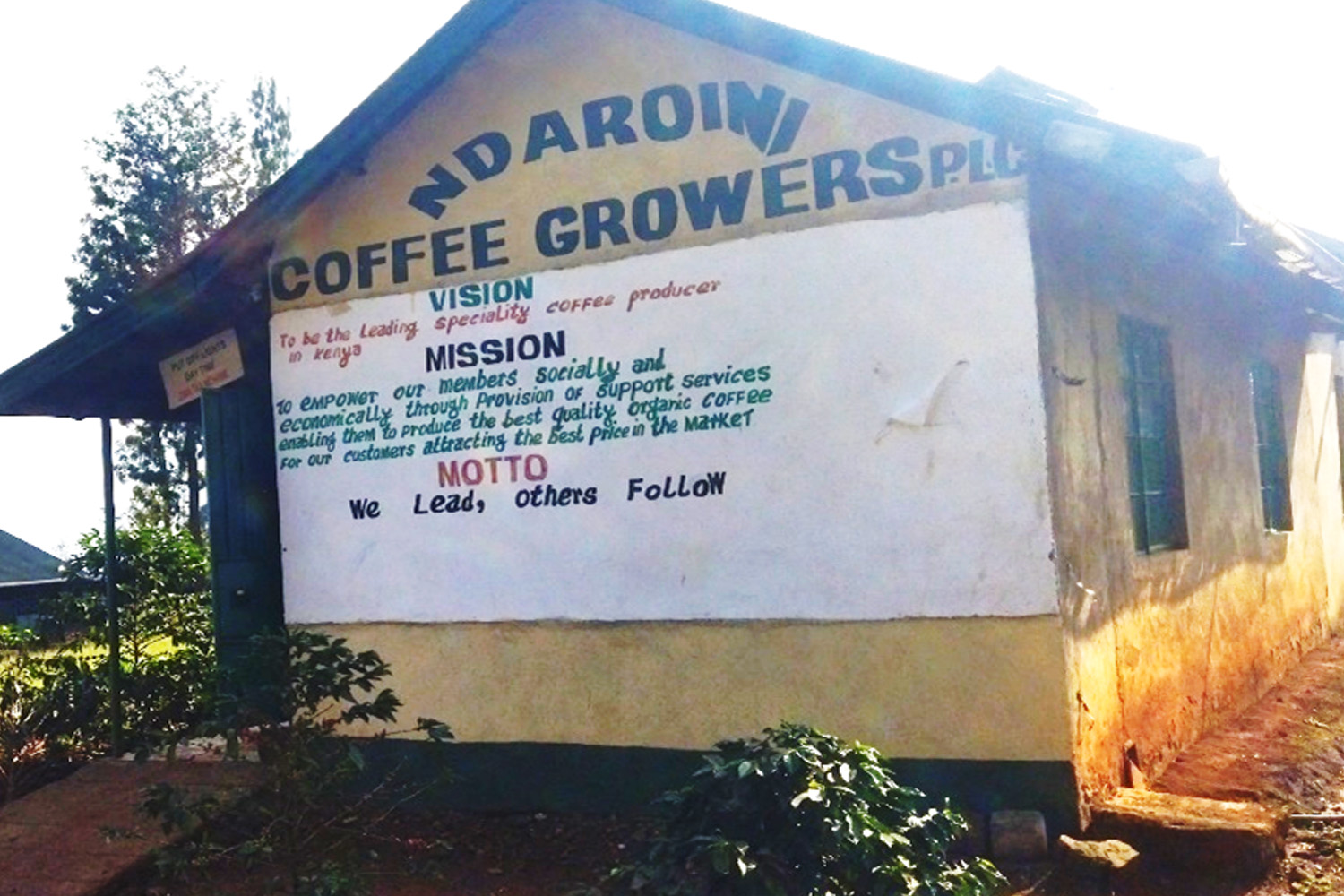 Kenya AA Ndaroini (E)