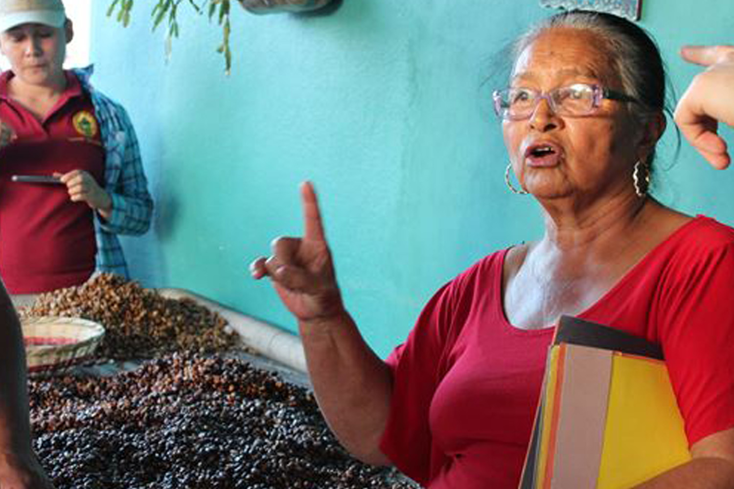 Organic Honduras COMSA - 